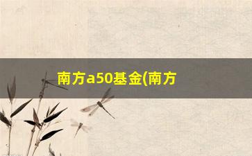 “南方a50基金(南方a50有哪些成分股)”/