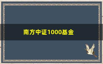 “南方中证1000基金(中证红利指数基金有哪些)”/