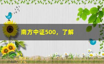 “南方中证500，了解南方中证500指数基金的投资价值”/