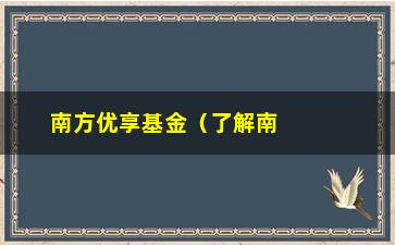 “南方优享基金（了解南方优享基金的投资步骤和收益情况）”/