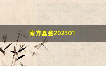 “南方基金202301产品介绍（值得投资还是应该回避？）”/