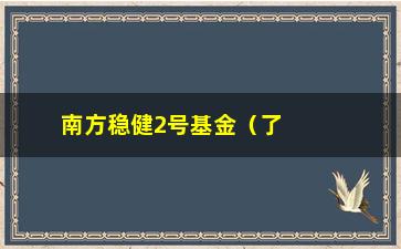 “南方稳健2号基金（了解南方稳健2号基金的投资收益和风险分析）”/