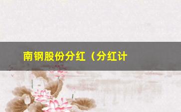 “南钢股份分红（分红计划及相关信息）”/