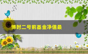 “博时二号前基金净值最新行情及走势分析”/