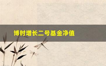 “博时增长二号基金净值分析（未来几个月的投资建议）”/