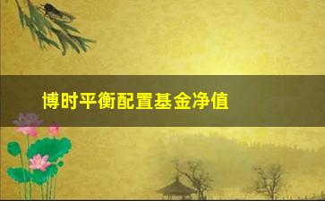 “博时平衡配置基金净值(博时平衡配置基金净值2009年净值)”/