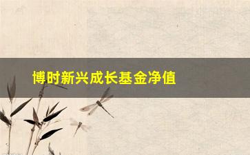 “博时新兴成长基金净值查询（了解基金最新的净值变动情况）”/