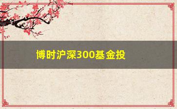 “博时沪深300基金投资收益如何？”/