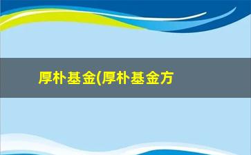 “厚朴基金(厚朴基金方风雷)”/