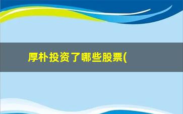 “厚朴投资了哪些股票(厚朴资本投资的股票)”/