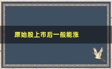 “原始股上市后一般能涨多少倍(原始股上市后一般能涨多少倍呢)”/