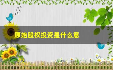 “原始股权投资是什么意思，解析原始股权投资的定义和特点”/