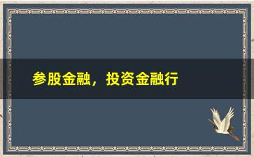 “参股金融，投资金融行业的风险与机遇”/