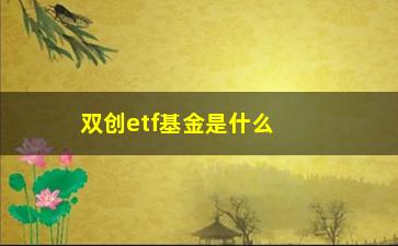 “双创etf基金是什么(双创众投基金)”/