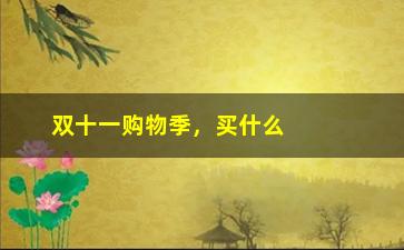 “双十一购物季，买什么基金最划算？”/