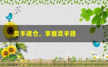 “反手建仓，掌握反手建仓的实战技巧与策略”/