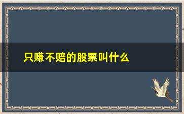 “只赚不赔的股票叫什么”/