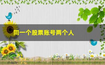 “同一个股票账号两个人如何用(一个股票账号可以两个人上吗)”/