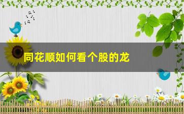 “同花顺如何看个股的龙虎榜(同花顺怎么看个股龙虎榜机构持仓)”/