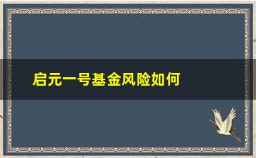 “启元一号基金风险如何介绍？”/