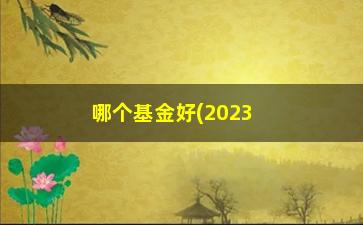 “哪个基金好(2023零钱通更换哪个基金好)”/