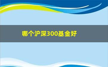 “哪个沪深300基金好？如何选择最优基金？”/