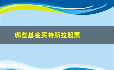 “哪些基金买特斯拉股票(特斯拉板块有哪些股票)”/