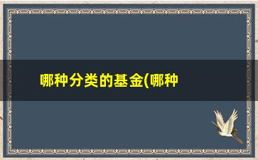 “哪种分类的基金(哪种分类的基金风险较高)”/