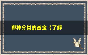 “哪种分类的基金（了解不同基金分类的投资风险和收益）”/