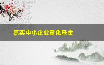 “嘉实中小企业量化基金(嘉实中小企业量化基金004536)”/