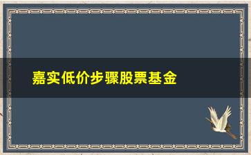 “嘉实低价步骤股票基金净值(嘉实低价步骤股票基金净值是多少)”/