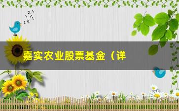 “嘉实农业股票基金（详细介绍嘉实农业股票基金的投资价值）”/