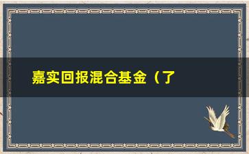 “嘉实回报混合基金（了解嘉实回报混合基金的投资步骤和收益情况）”/