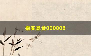 “嘉实基金000008值得投资吗？（从历史业绩到未来前景全面分析）”/