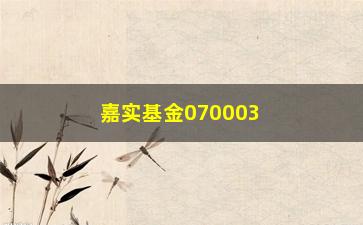 “嘉实基金070003的最新走势和投资建议”/