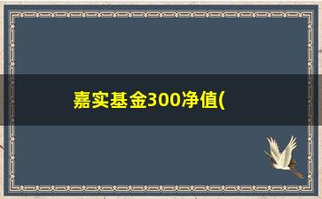 “嘉实基金300净值(嘉实基金60706净值)”/