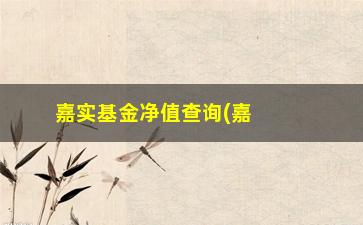 “嘉实基金净值查询(嘉实海外净值查询)”/