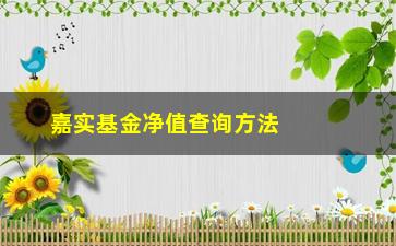 “嘉实基金净值查询方法及注意事项”/