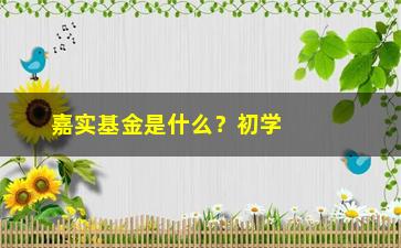 “嘉实基金是什么？初学者必须知道的基本知识”/