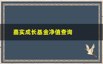 “嘉实成长基金净值查询(嘉实增长070002净值)”/