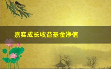 “嘉实成长收益基金净值(嘉实成长收益基金净值网上查询)”/