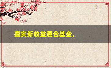 “嘉实新收益混合基金，投资者如何把握市场风口？”/