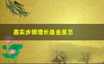 “嘉实步骤增长基金是怎么样的一只基金？”/