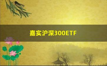 “嘉实沪深300ETF联接基金（了解基金的投资特点与优势）”/