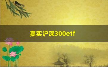 “嘉实沪深300etf联接基金（了解基金的投资步骤和优势）”/