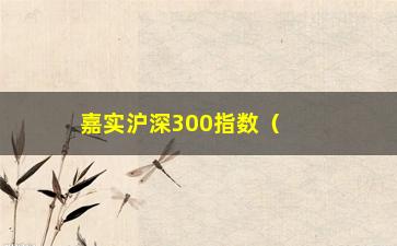 “嘉实沪深300指数（了解嘉实沪深300指数基金的投资价值）”/