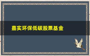 “嘉实环保低碳股票基金(鹏华环保基金000409)”/