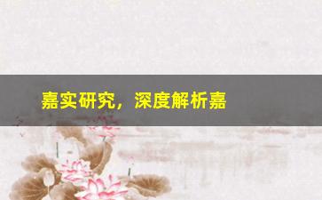 “嘉实研究，深度解析嘉实基金的研究体系”/