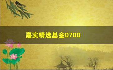 “嘉实精选基金07003(基金07003现在能买吗)”/