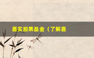 “嘉实股票基金（了解嘉实股票基金的投资步骤和收益表现）”/